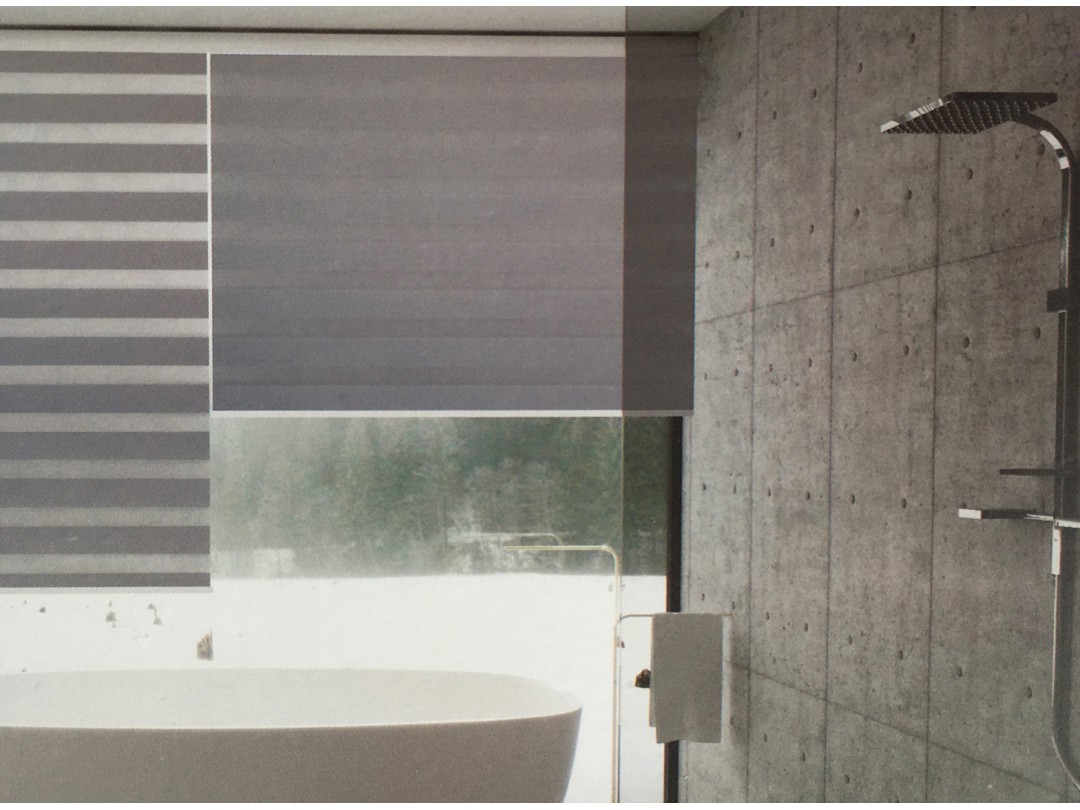 Polymer Materials Zebra Blinds SC-TB6