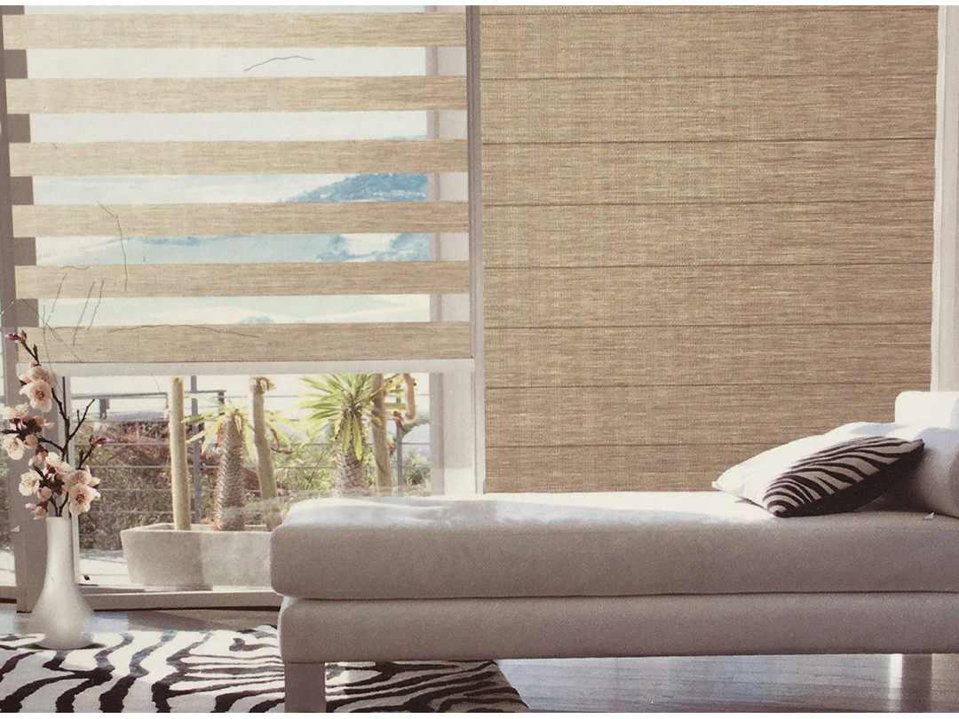 Zebra Blinds