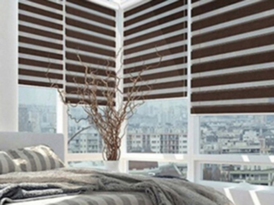 Wonderful Blackout Zebra Blinds BL20