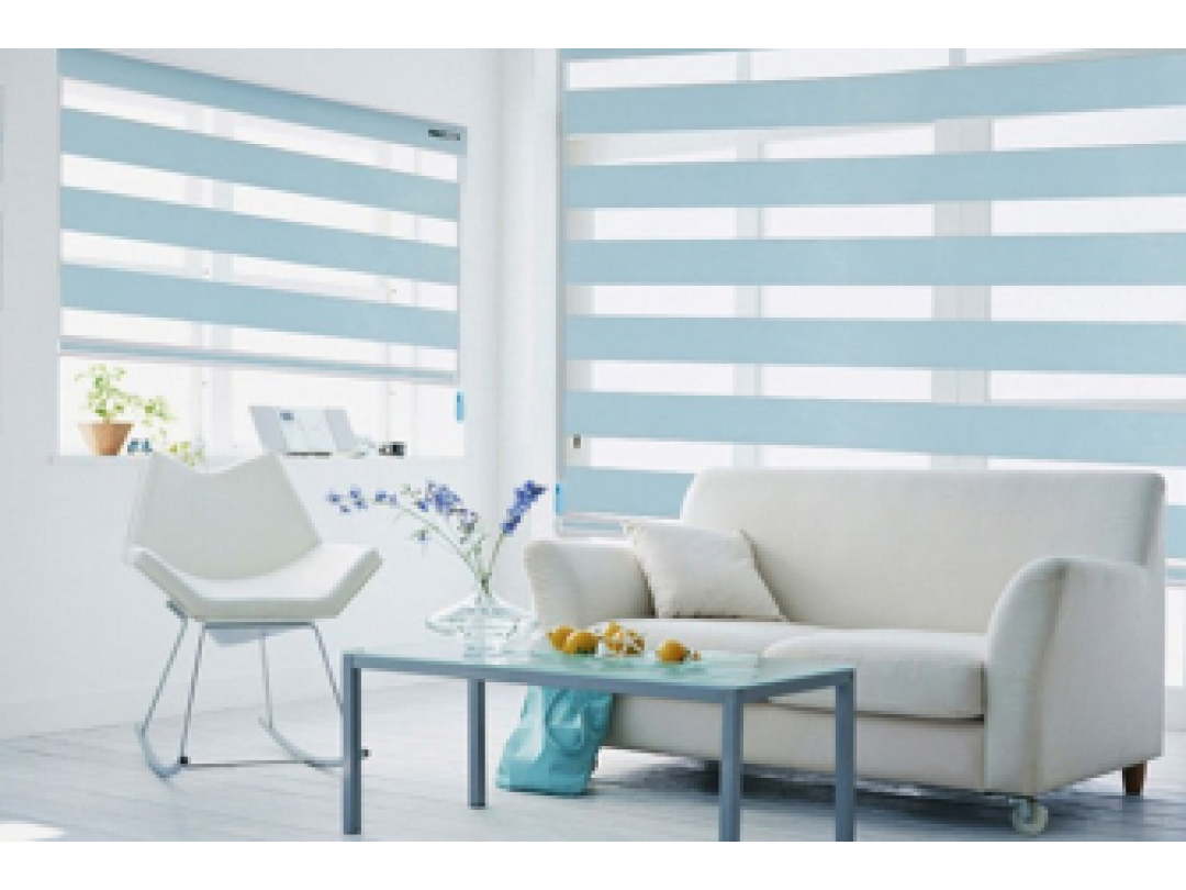 Wonderful Blackout Zebra Blinds BL20