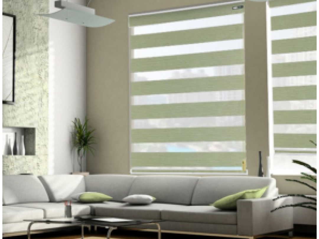 Wonderful Blackout Zebra Blinds BL20